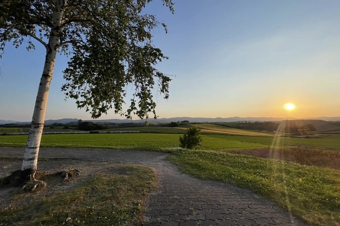 The Grand Natural Landscape of Biei, Hokkaido, featuring Rolling Green Fields at Sunset