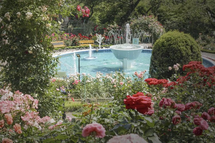 Hanamaki Onsen Rose Garden and Fountain