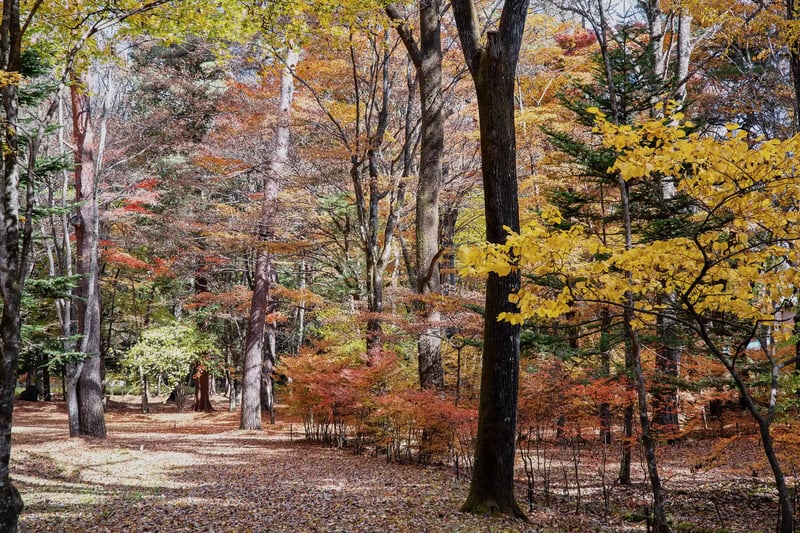 Karuizawa (a resort town in Nagano, Japan)