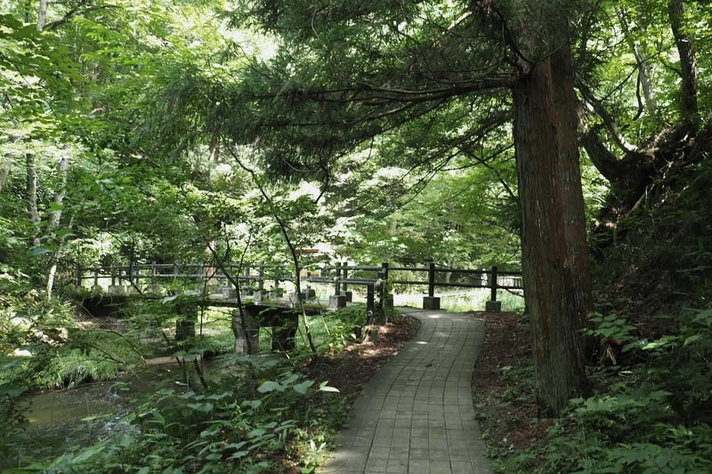 The walking trail (or promenade) at Kamabuchi Falls (Hanamaki)