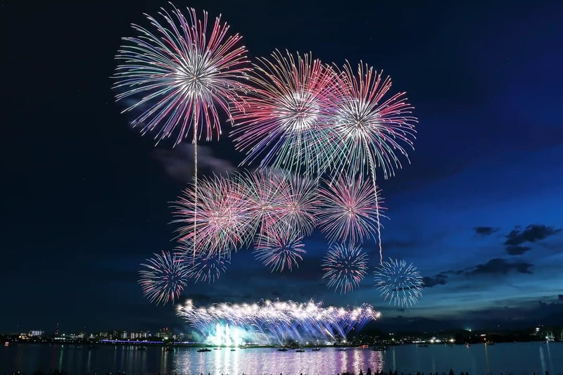 Fireworks lighting up the night sky