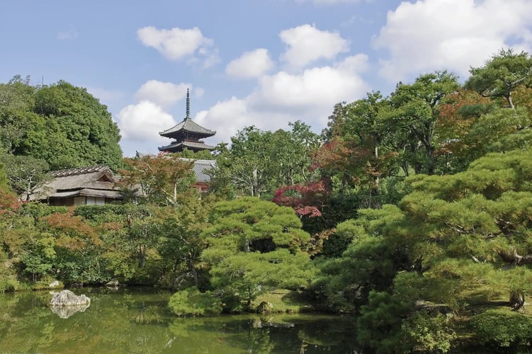 Autumn Leaves (or Autumn Foliage) at Ninna-ji Temple, Kyoto