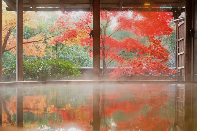 A room with a private open-air bath