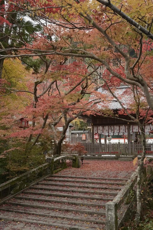 The Autumn Scenery and Maple Leaves of Kuwayama Shrine, Kyoto