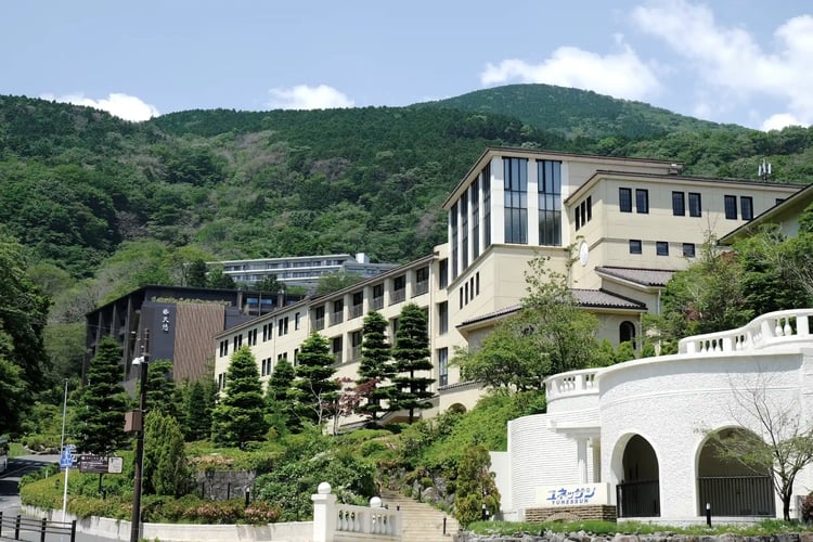 The hotel-lined Hakone-Owakudani-Kowakudani Line