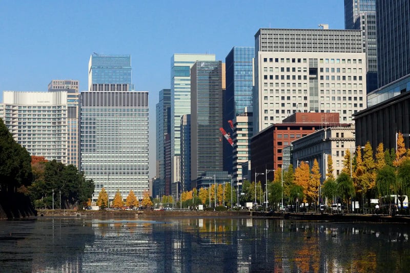 Golden ginkgo trees, Marunouchi buildings, and the palace moat