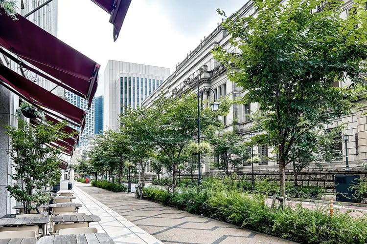 A beautiful tree-lined street with terraces and retro buildings