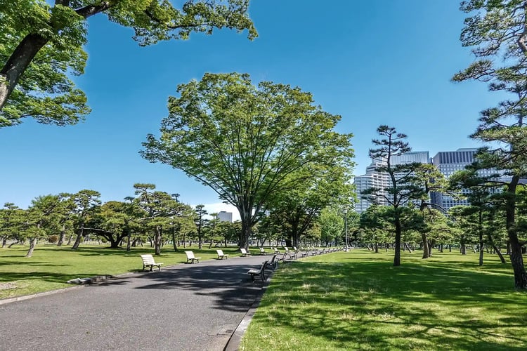 Promenade and benches in the lawn area (Imperial Palace Outer Garden)