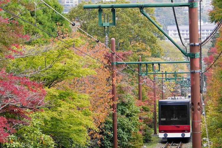 The Hakone Tozan Railway climbing through autumn colors