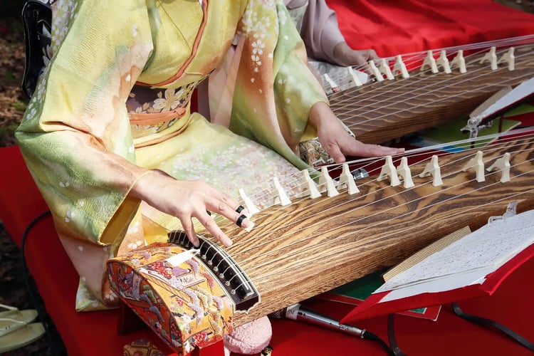 Example I saw a beautiful painting of a woman playing the koto