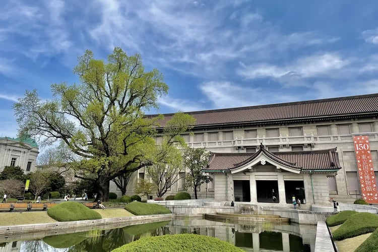 The Tokyo National Museum (often abbreviated as TNM)
