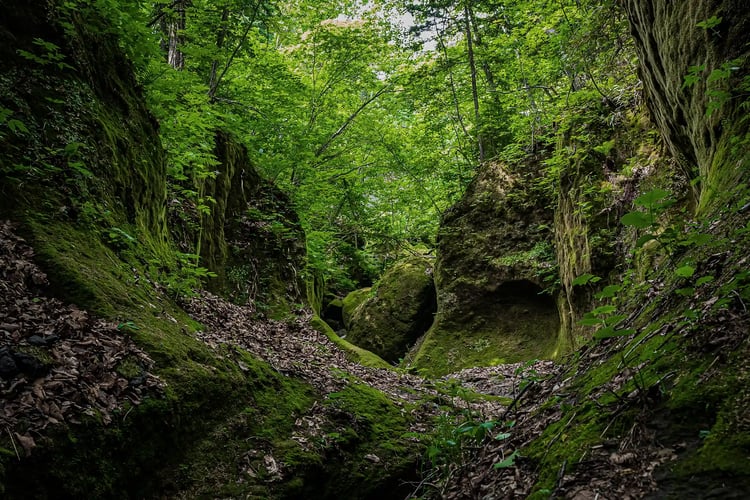 The moss-covered canyon scenery