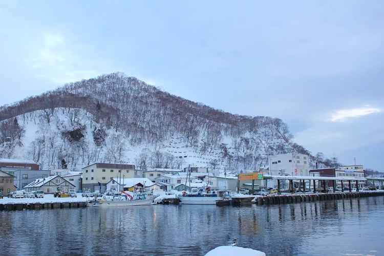 A view of Rausu town and its port from the sea