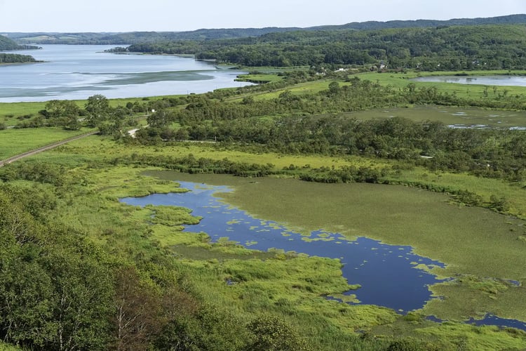 Kushiro Shitsugen (Kushiro Marsh)