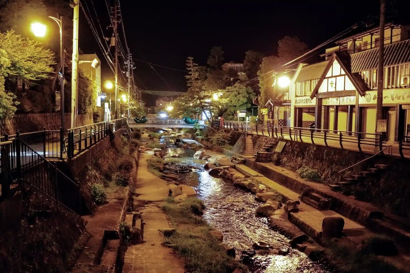 The streets of Tamatsukuri Onsen at night
