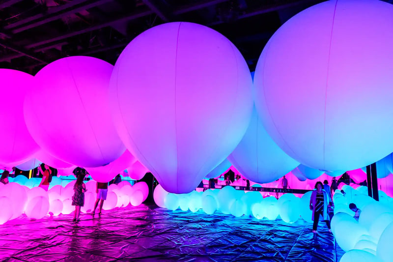 TeamLab_Borderless,_Odaiba,_Tokyo,_Japan_(49070853862)