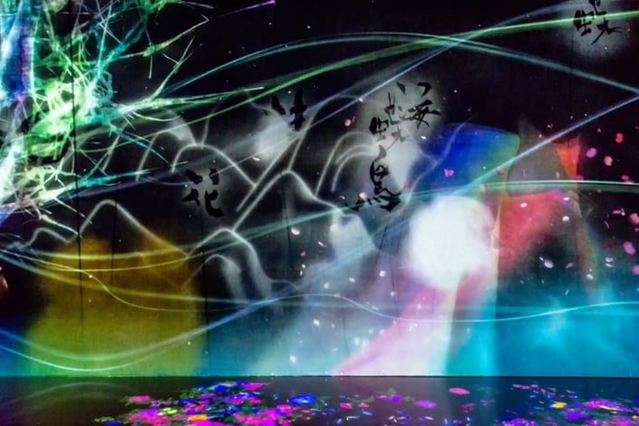 TeamLab_Borderless,_Odaiba,_Tokyo,_Japan_(49070108848)