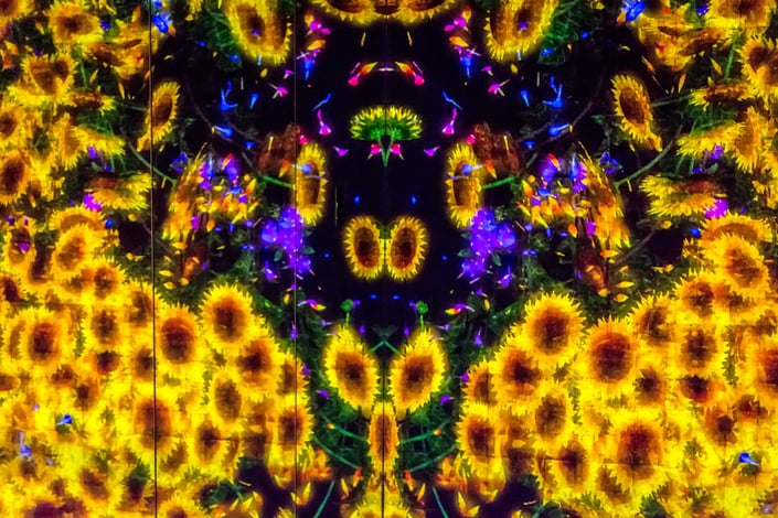 TeamLab_Borderless,_Odaiba,_Tokyo,_Japan_(49070109953)