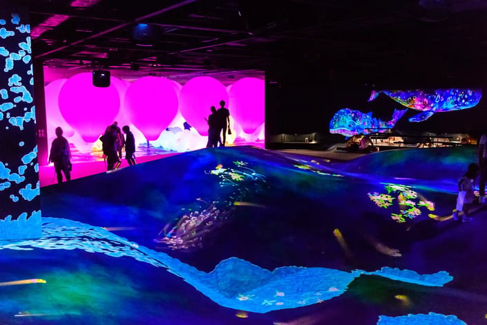 TeamLab_Borderless,_Odaiba,_Tokyo,_Japan_(49070857867)