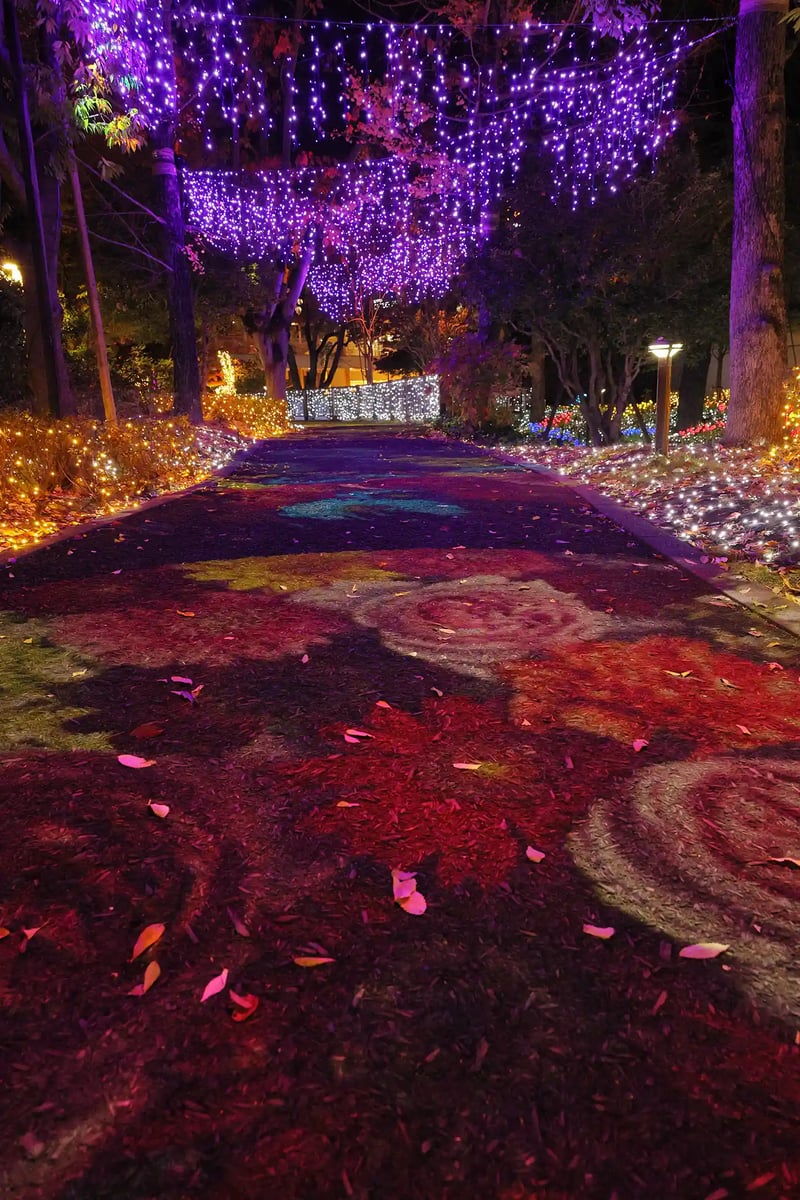 A street decorated with illuminations