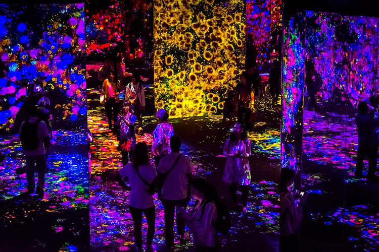 TeamLab_Borderless,_Odaiba,_Tokyo,_Japan_(49070110298)