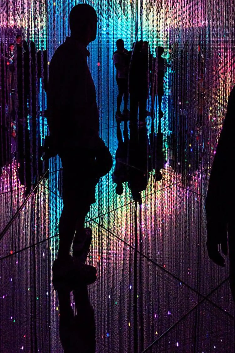 TeamLab_Borderless,_Odaiba,_Tokyo,_Japan_(49070113608)