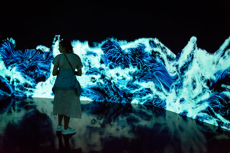 TeamLab_Borderless,_Odaiba,_Tokyo,_Japan_(49070645226)