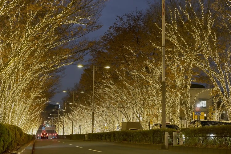 The winter illuminations in Omotesando