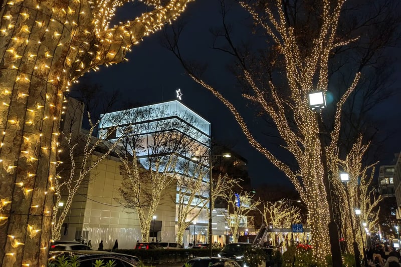 Winter Illumination in Omotesando