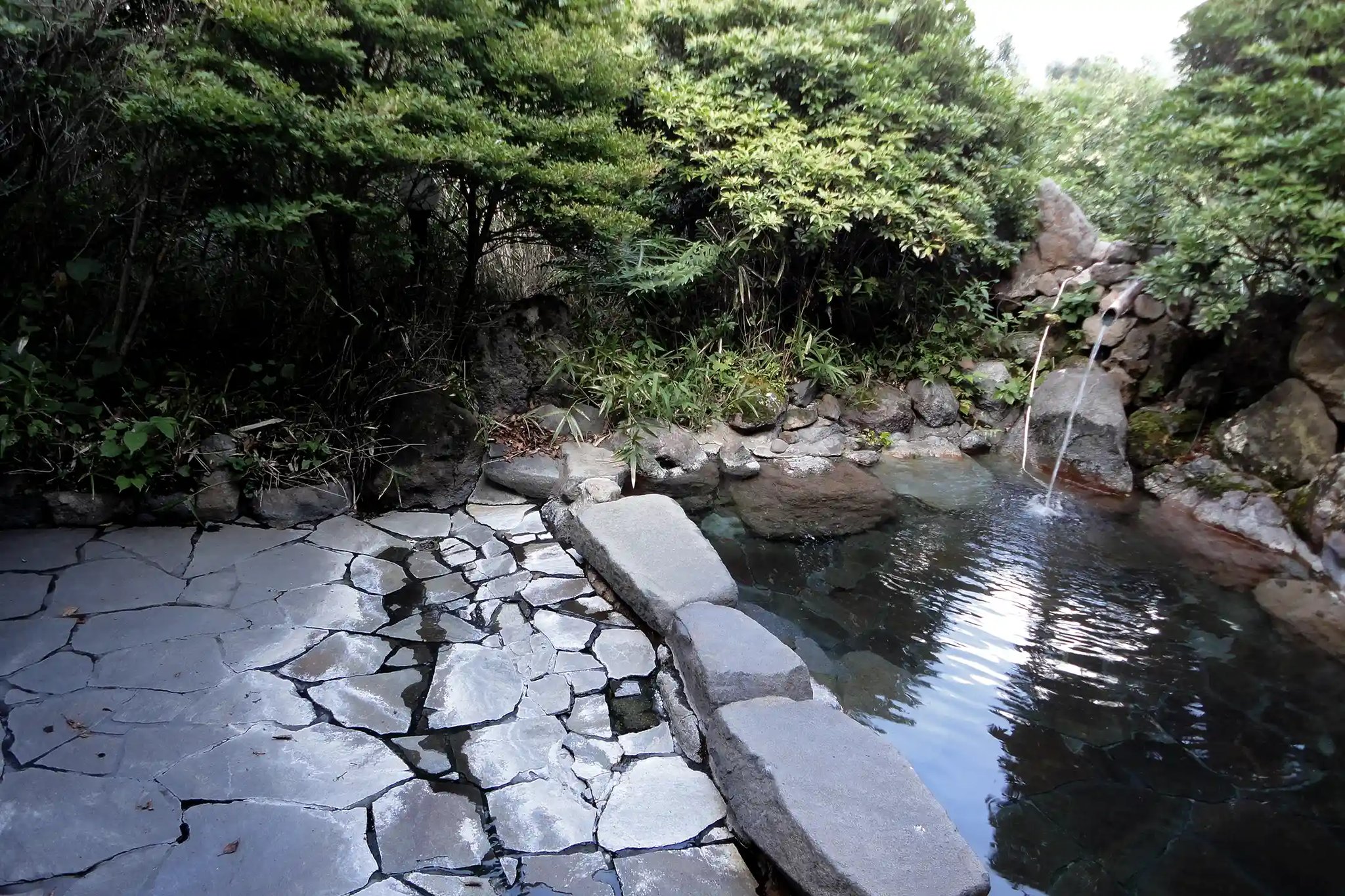 Hot spring with a view