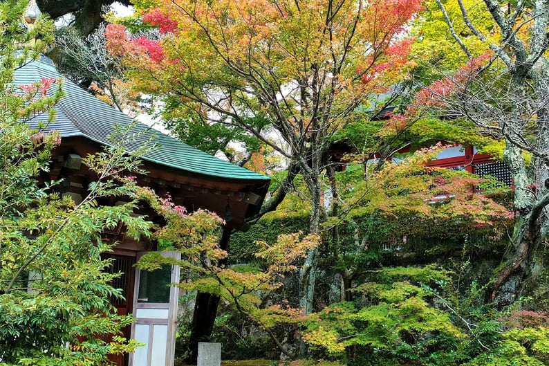 Autumn Colors within the Temple Grounds