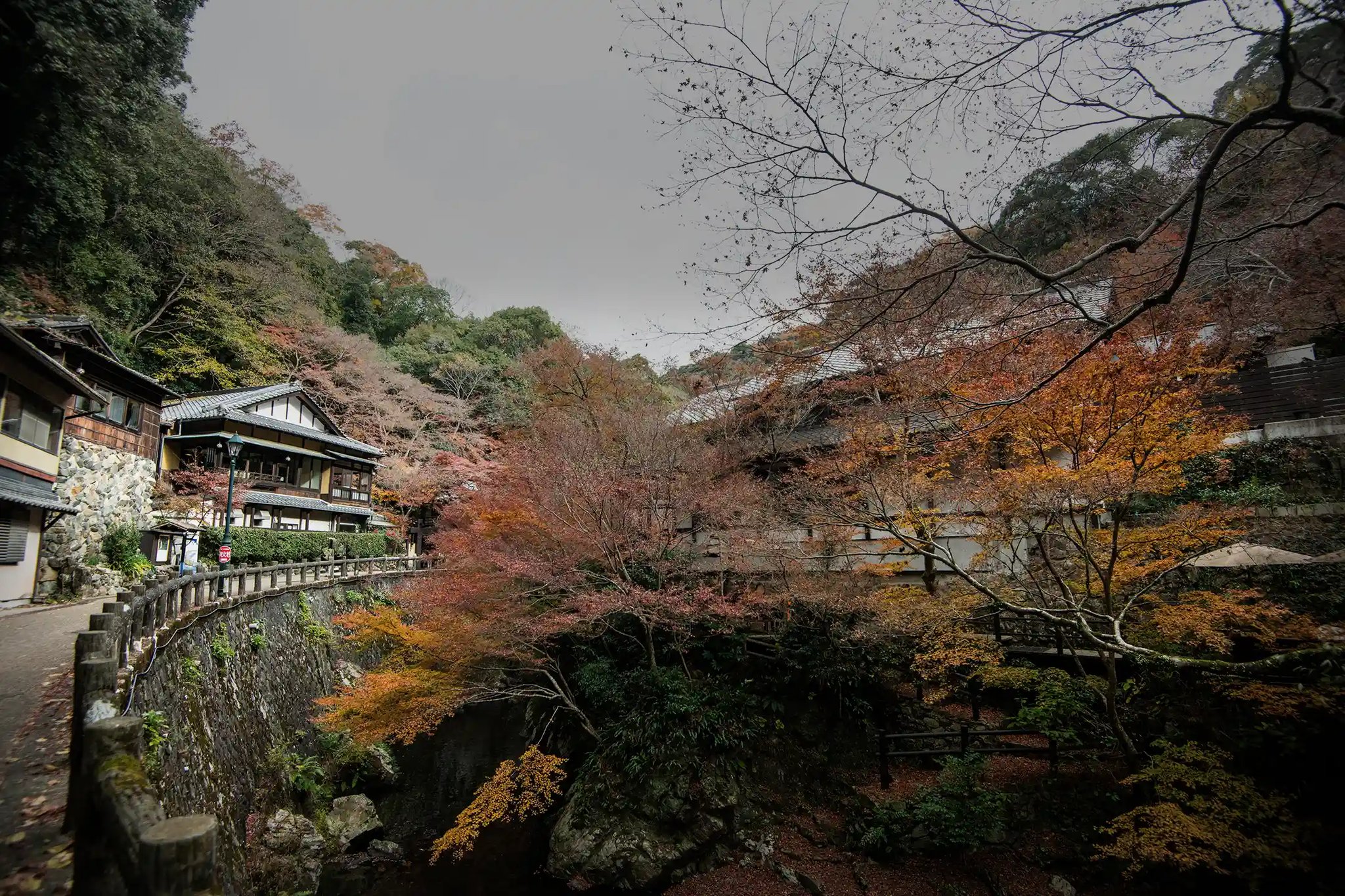 Late Autumn Colors along the Minoo Waterfall Path