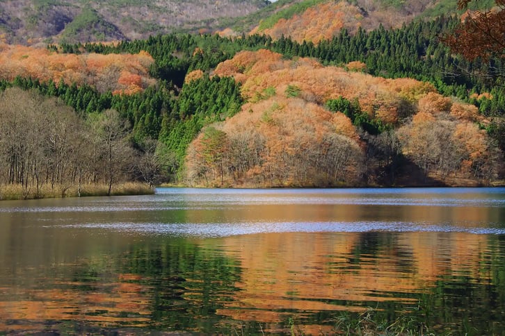 Autumn Mood