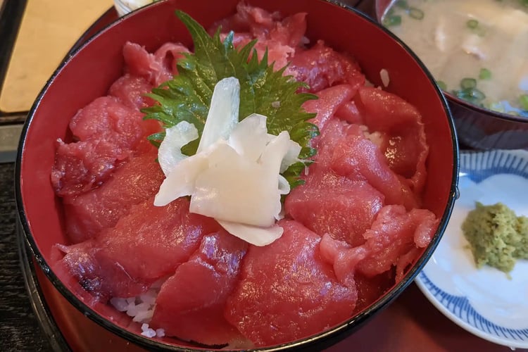 Tekka-don Fresh Tuna Sashimi Rice Bowl