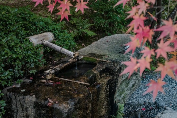 The Famous Tsukubai Stone Washbasin at Ryoan-ji Temple in Kyoto