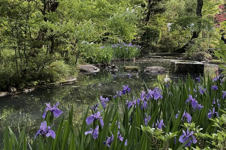 The Irises Screen Painting by Ogata Korin at the Nezu Museum