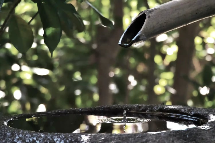 The Moment a Water Droplet Falls Onto the Mirror-Like Surface of a Chōzubachi (Water Basin)