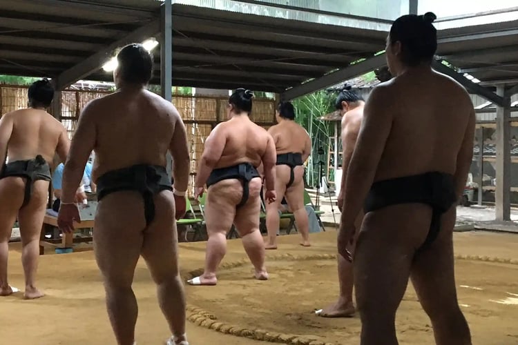 Kashiwai_Hachiman-sha_Shrine_Sumo_training