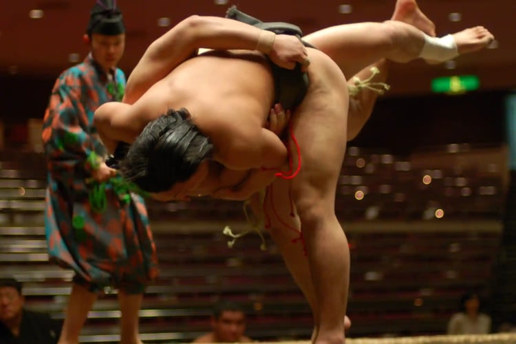 Sumo_wrestling_2008-05-16