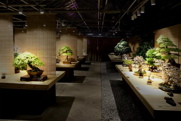 Bonsai_exhibition