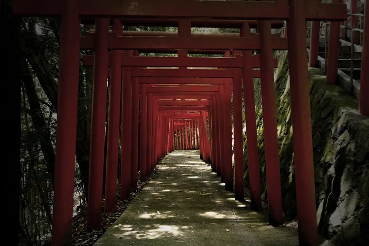 Katsuragi Zaō Gongen Shrine with a series of red torii gates