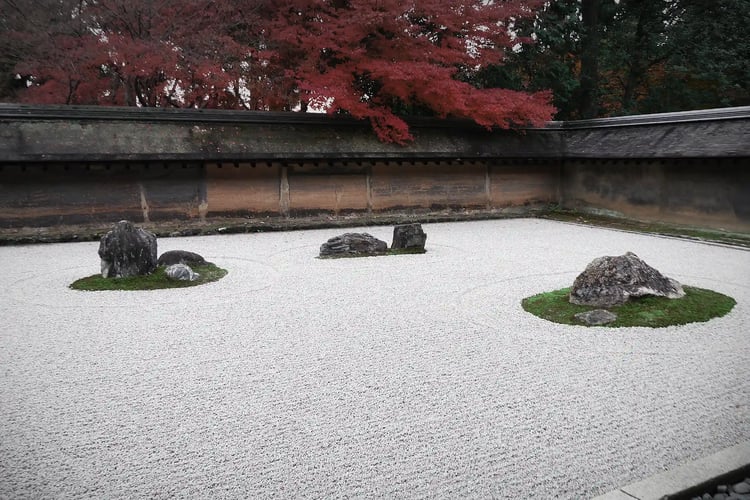 The beautiful autumn leaves at Ryoan-ji Temple_s rock garden