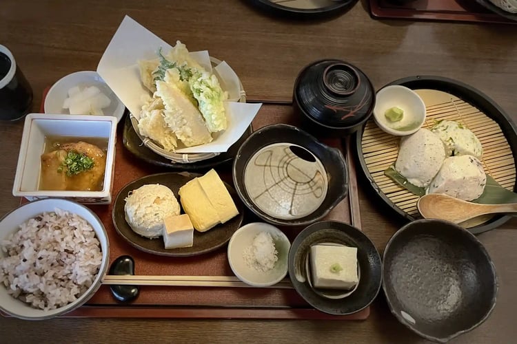 Healthy Japanese-style tofu lunch