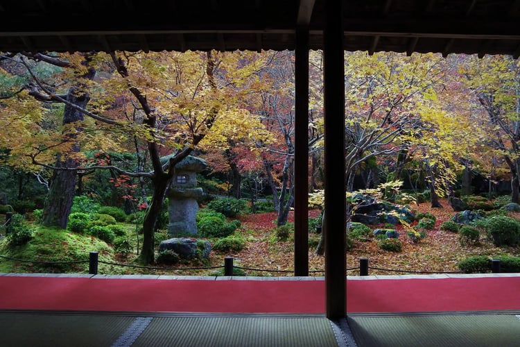 Autumn Foliage at Enkoji Temple, Kyoto Prefecture