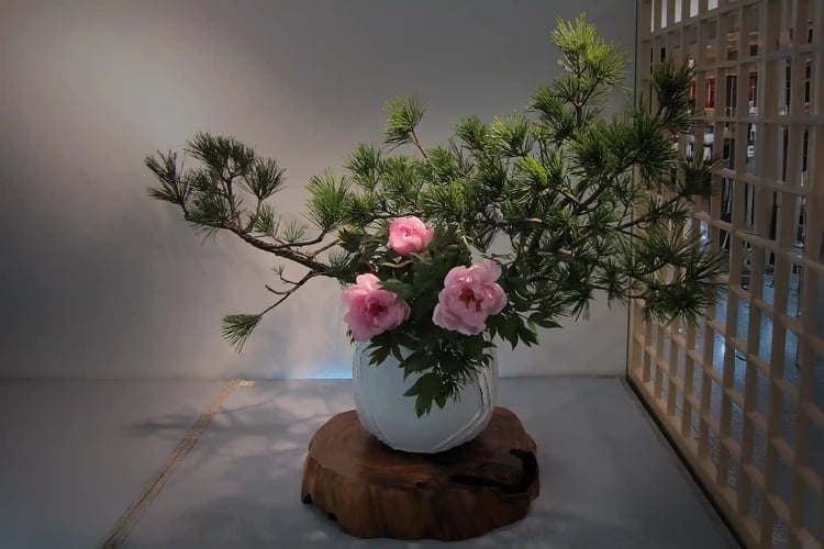Ikebana_Japanese_flower_arrangement_62,_Ikebana