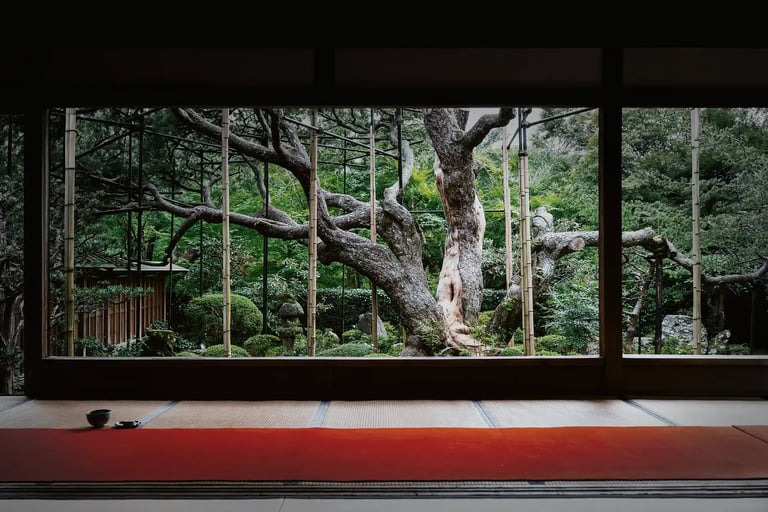 A Japanese garden at a temple in Kyoto
