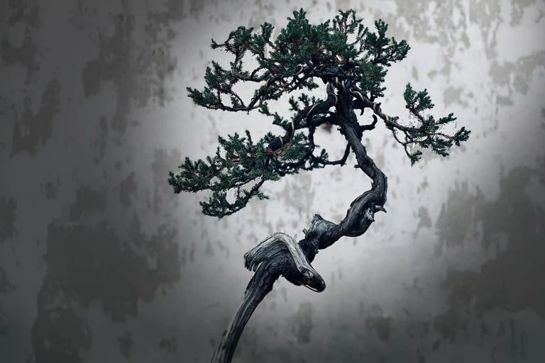 A bonsai whose artistic branch shape is arranged with wire