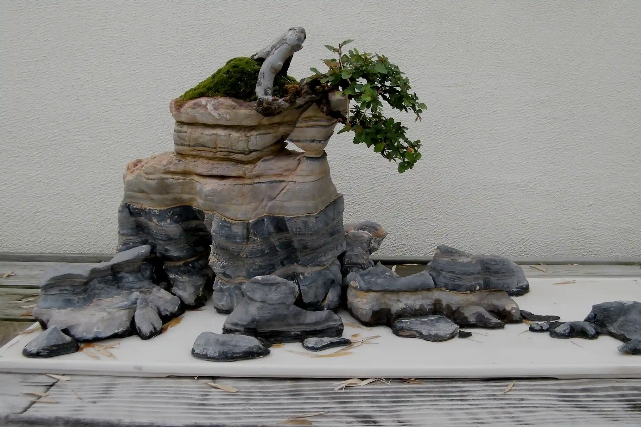 Autumn_Winds,_Rock_Penjing_-_National_Bonsai_&_Penjing_Museum_-_Washington,_D.C._-_Sarah_Stierch