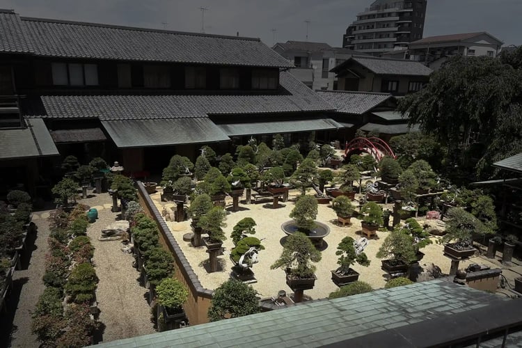 View over the grounds of the Shunkaen Bonsai Museum in Tokyo