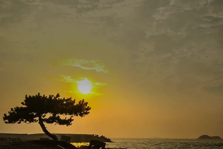 The landscape of Cape Futtsu and the worldview of bonsai